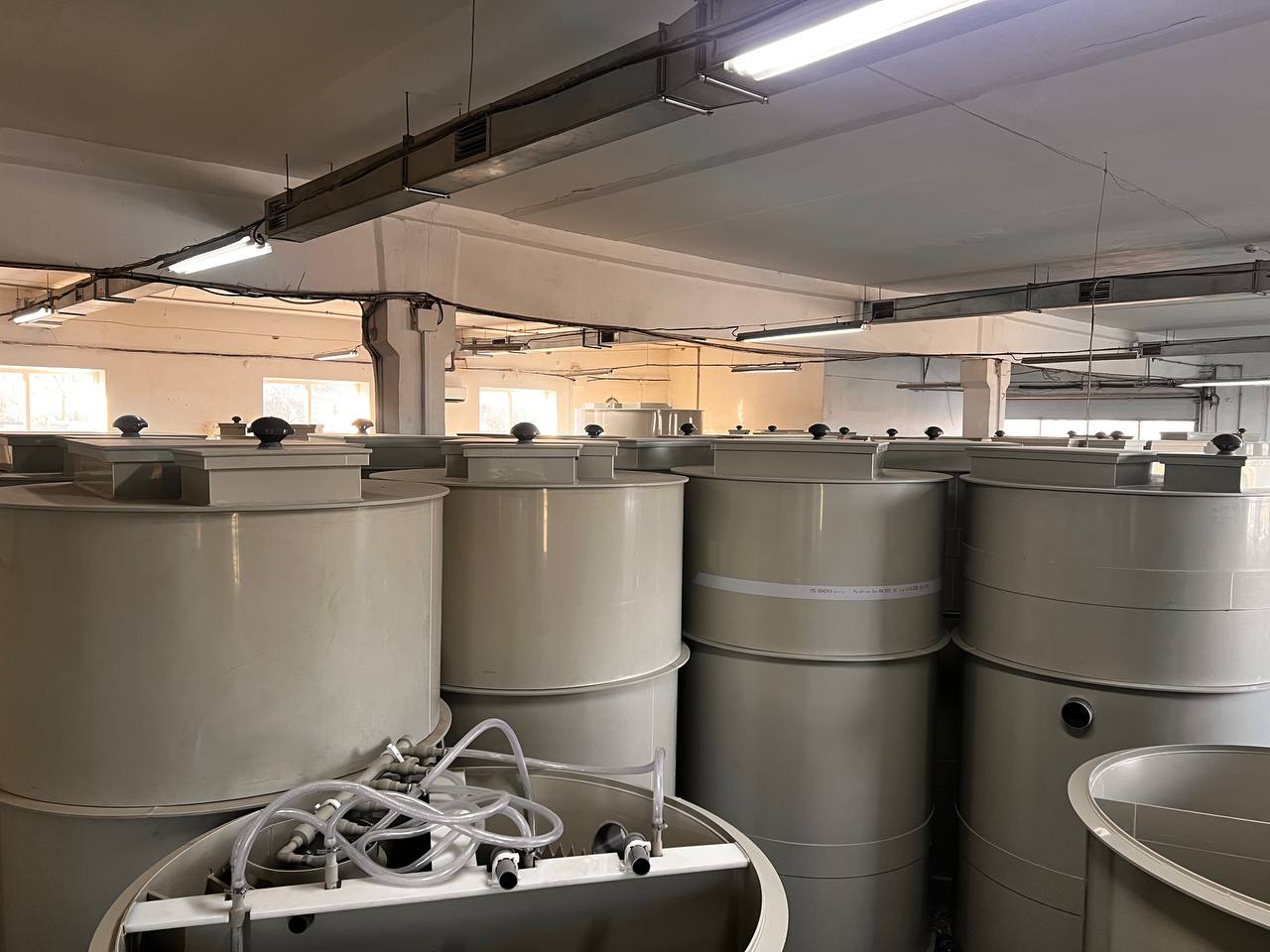 photo_2025-12-29_11-49-53