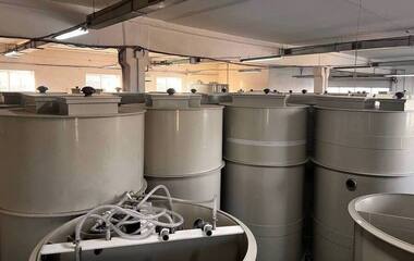 photo_2025-12-29_11-49-53_1